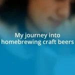 My journey into homebrewing craft beers